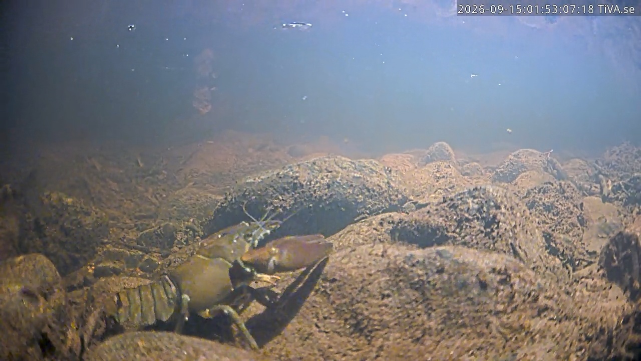 Video 2026-09-15 01:53