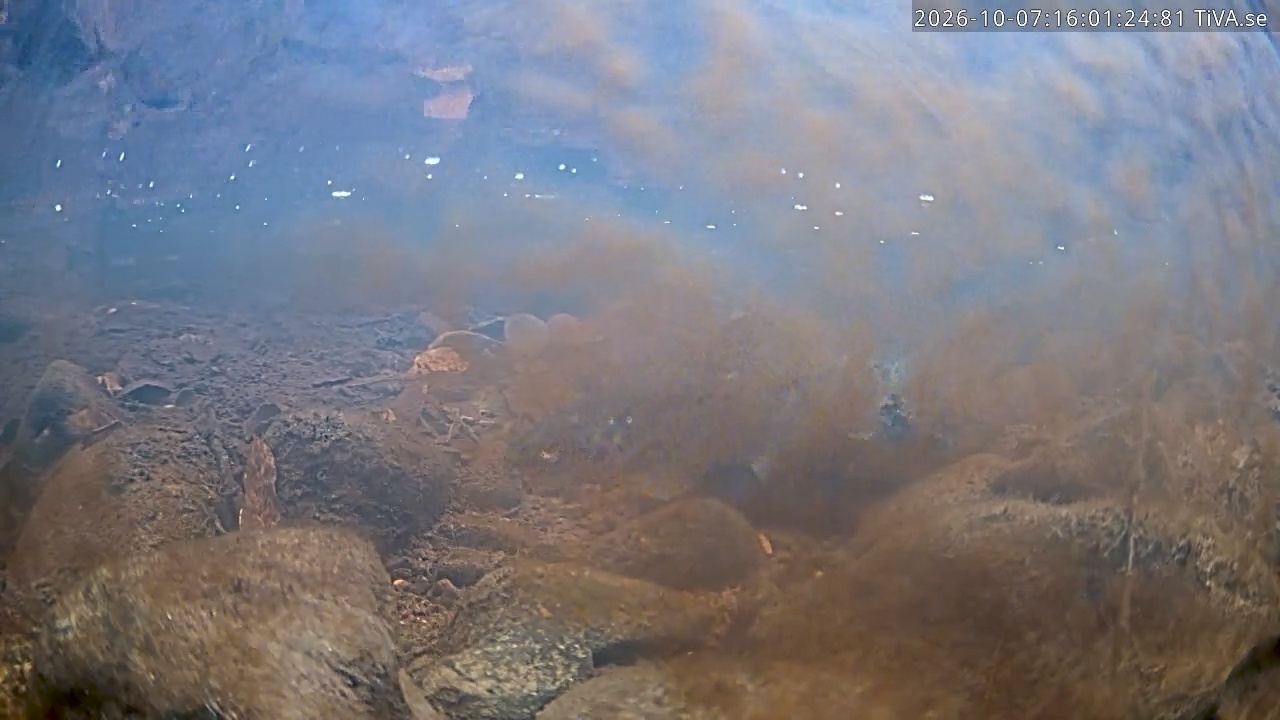 Video 2026-10-07 16:01