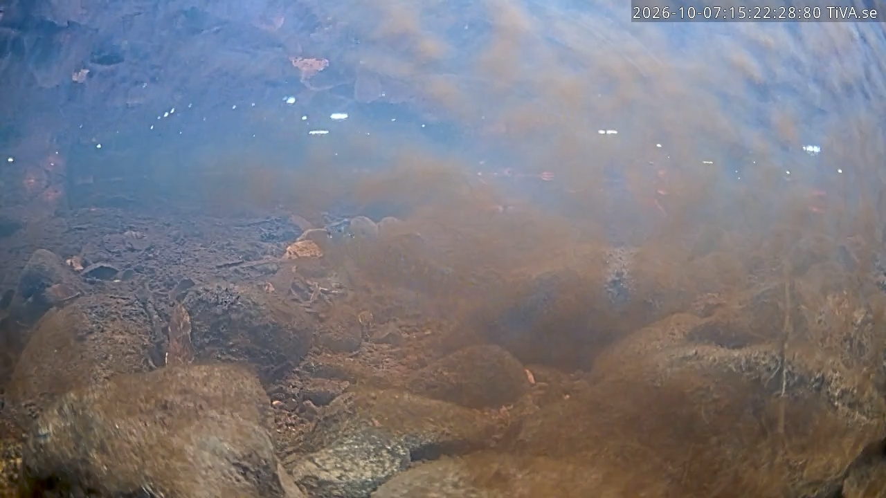 Video 2026-10-07 15:22