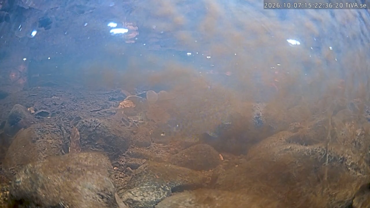 Video 2026-10-07 15:22