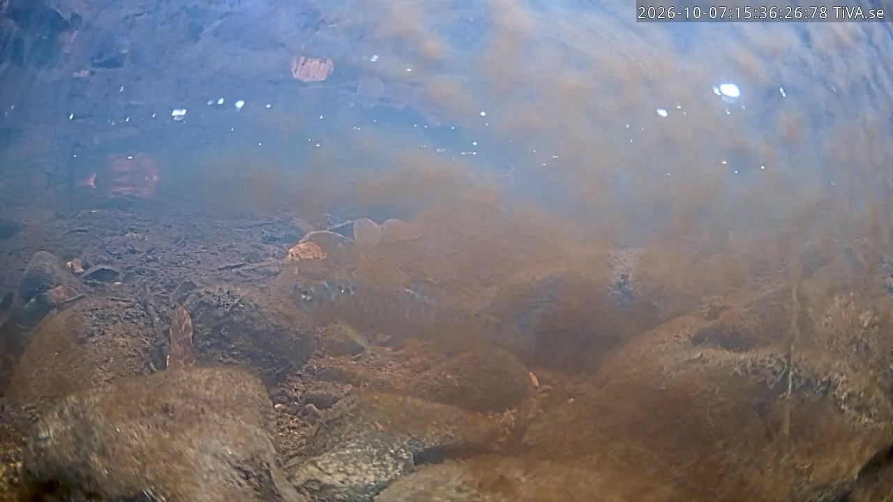 Video 2026-10-07 15:36