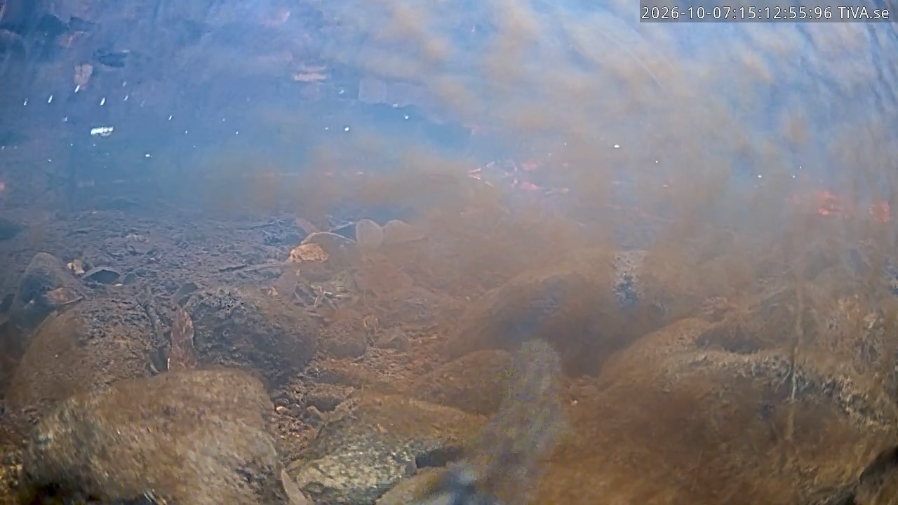 Video 2026-10-07 15:13