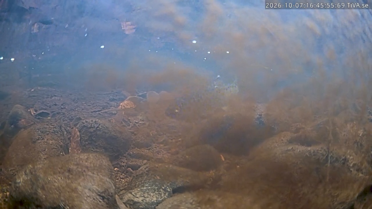 Video 2026-10-07 16:46