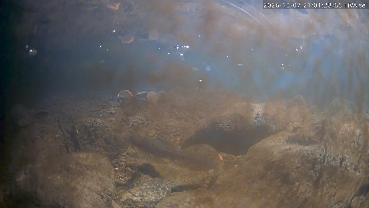 Video 2026-10-07 21:01