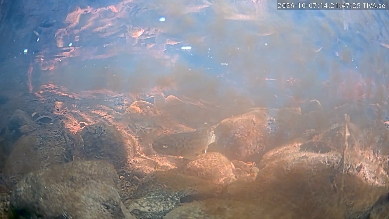 Video 2026-10-07 14:22
