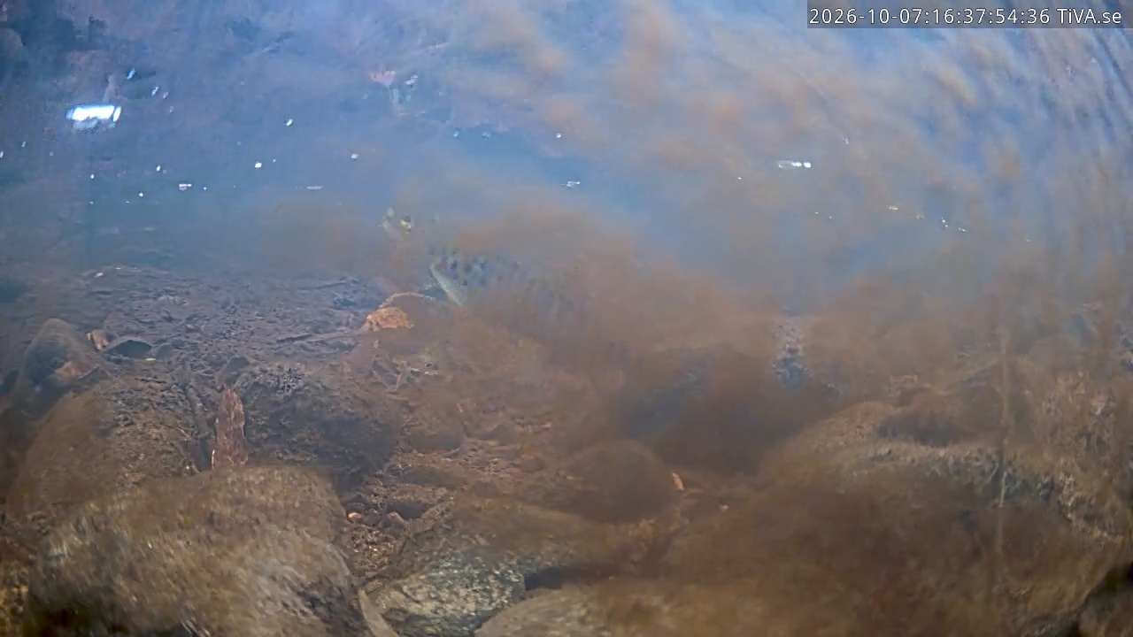 Video 2026-10-07 16:37