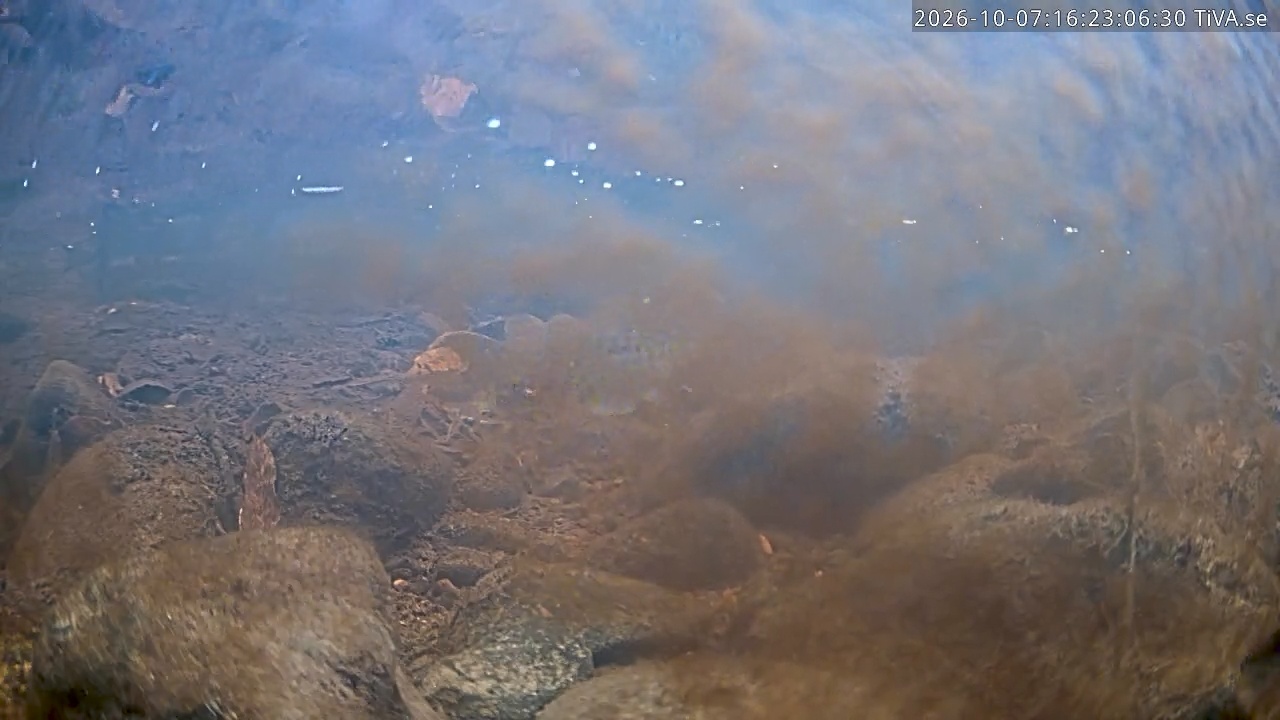 Video 2026-10-07 16:27