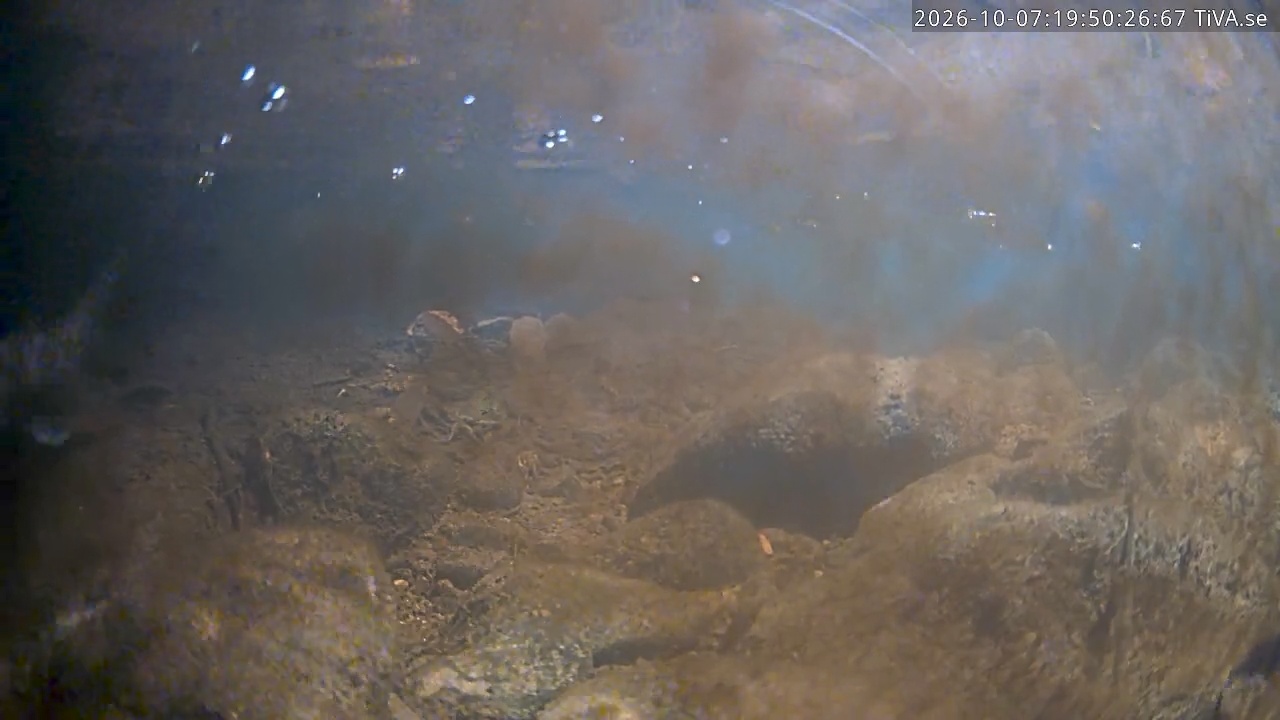 Video 2026-10-07 19:50