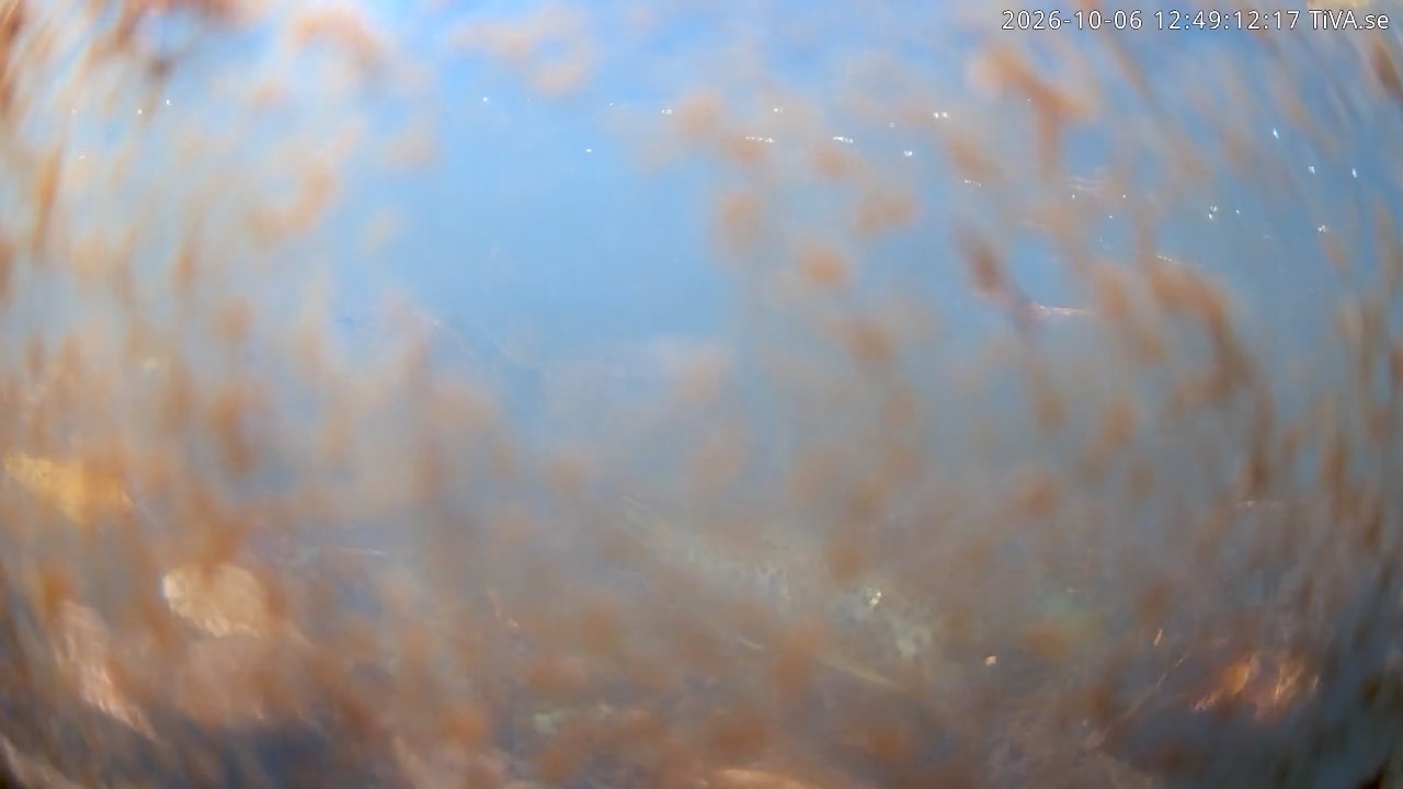 Video 2026-10-06 12:49