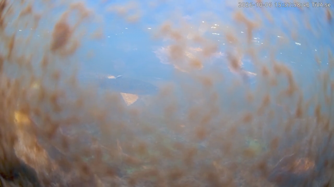 Video 2026-10-06 15:38