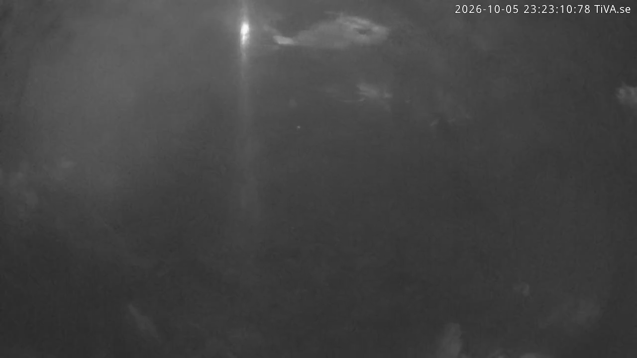 Video 2026-10-05 23:23