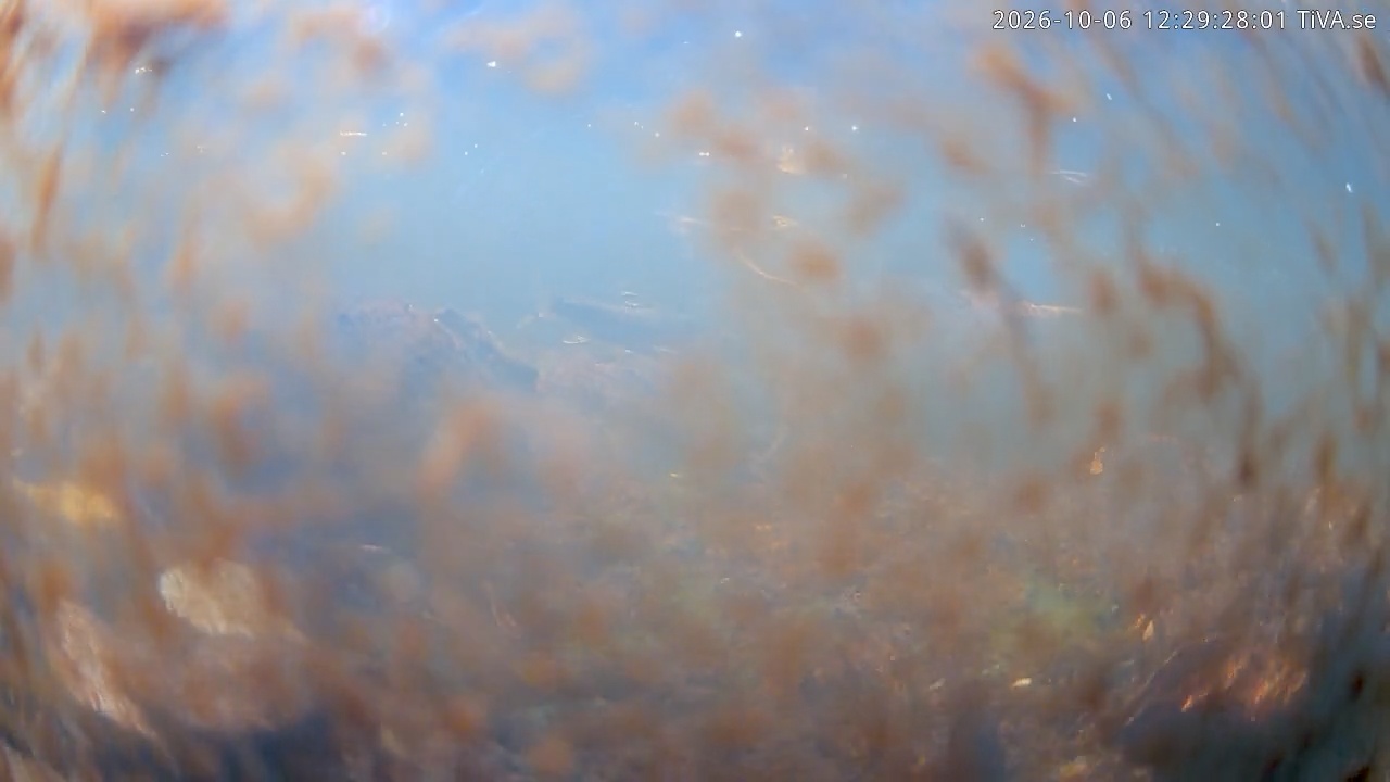 Video 2026-10-06 12:29