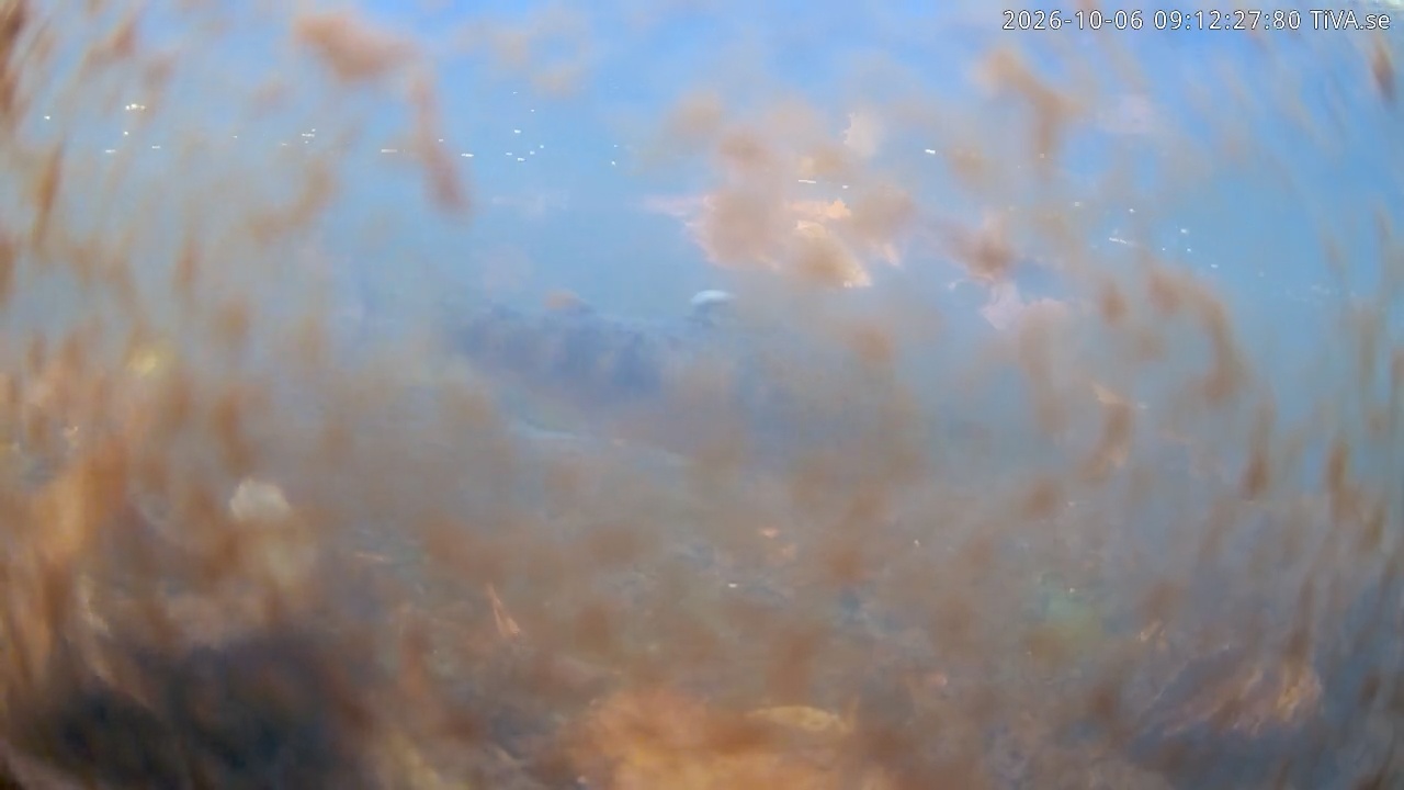 Video 2026-10-06 09:12