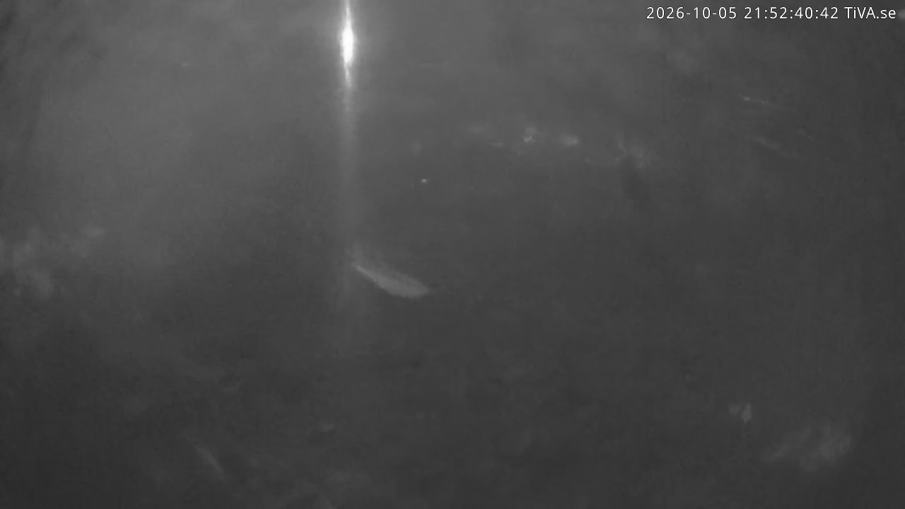 Video 2026-10-05 21:52