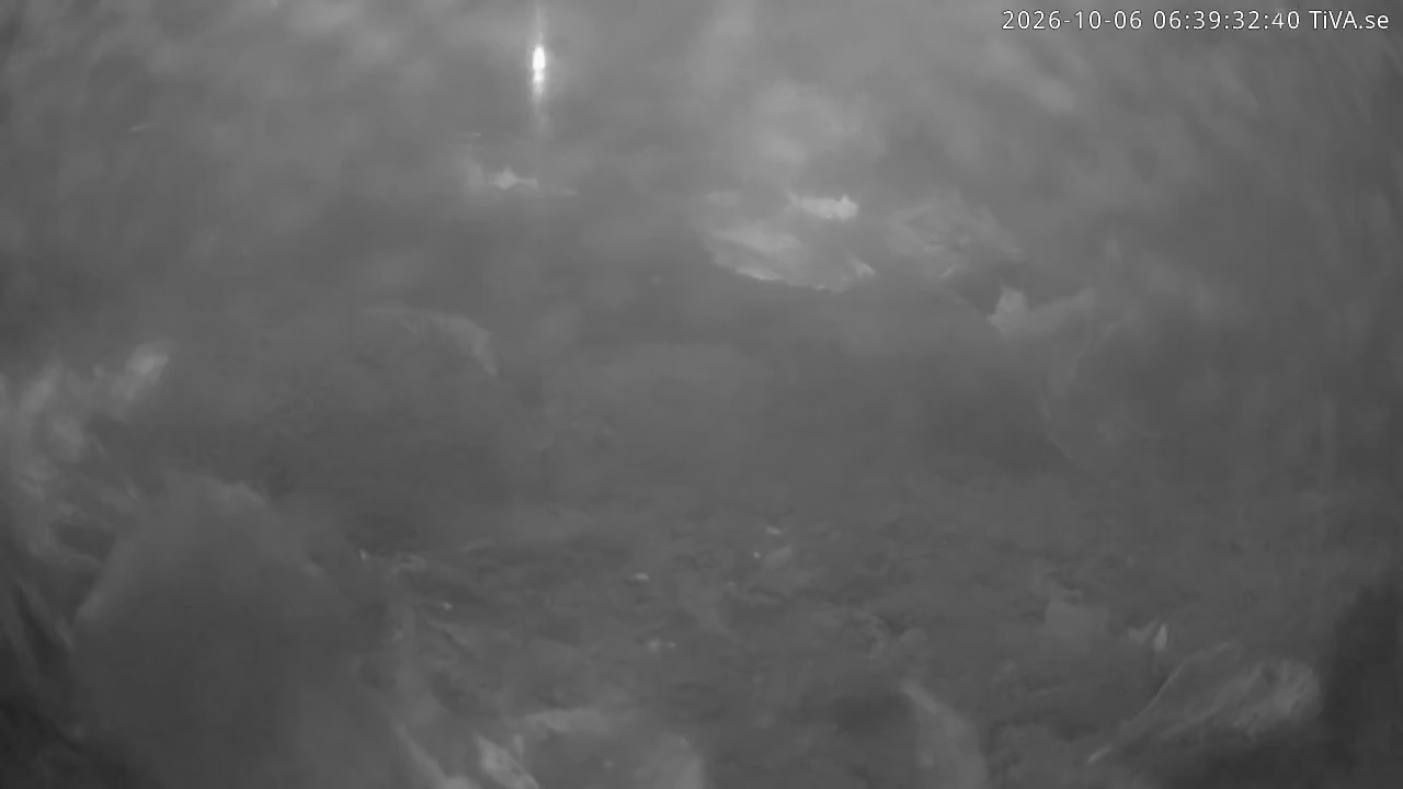 Video 2026-10-06 06:39