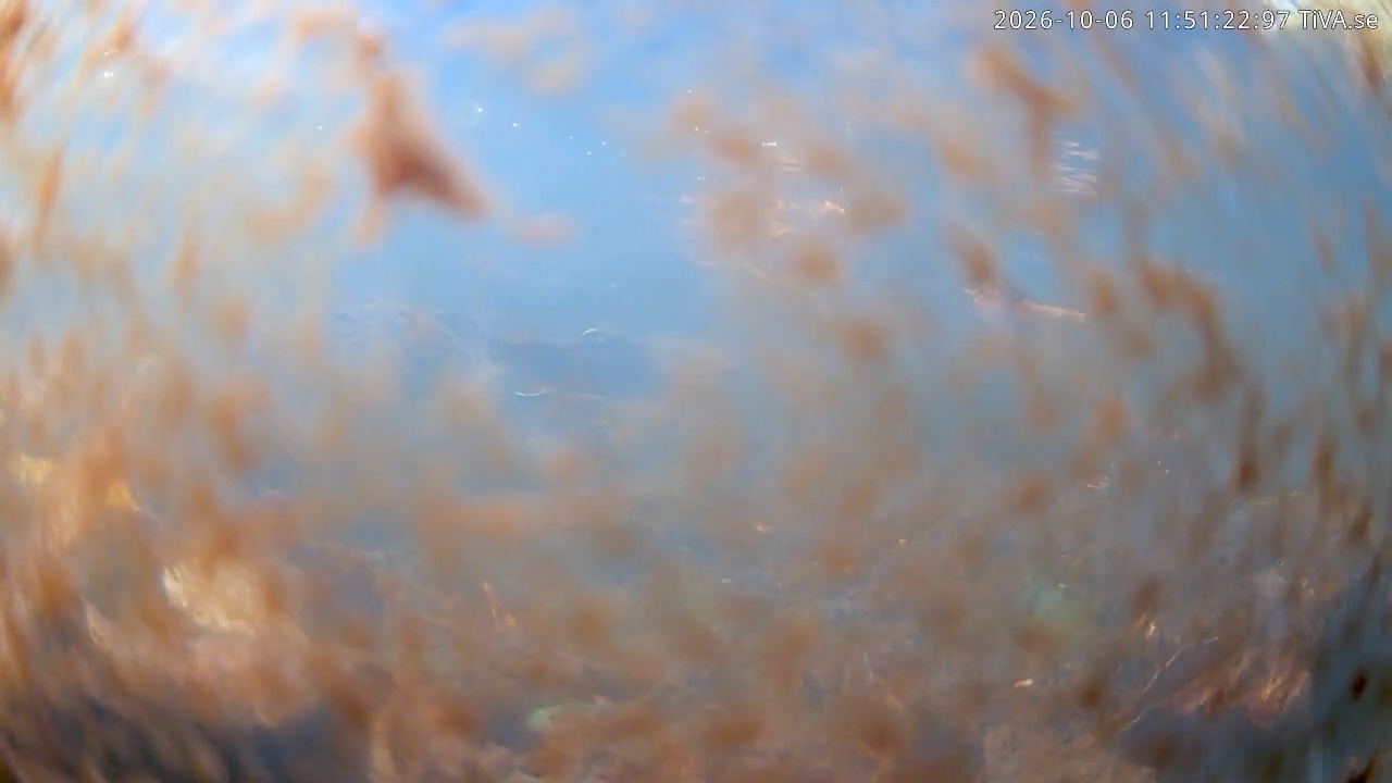 Video 2026-10-06 11:51