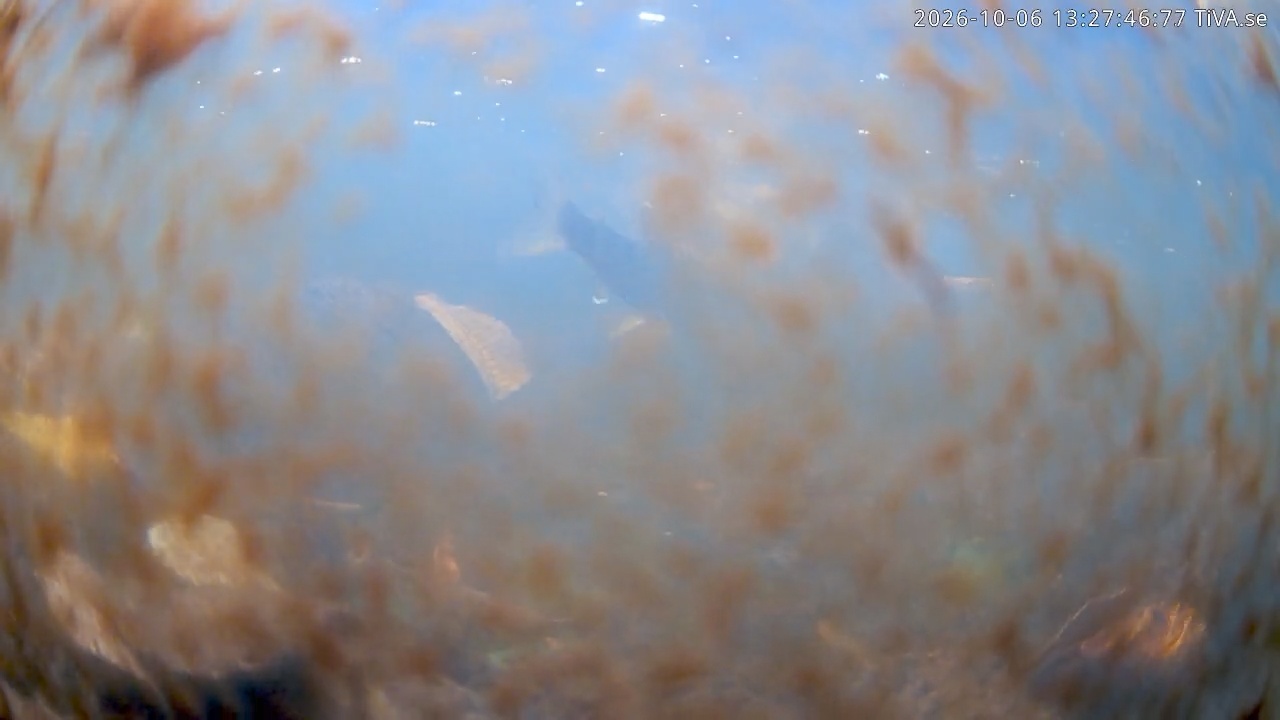 Video 2026-10-06 13:27