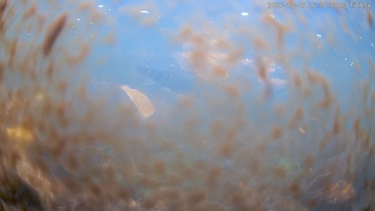 Video 2026-10-06 16:38