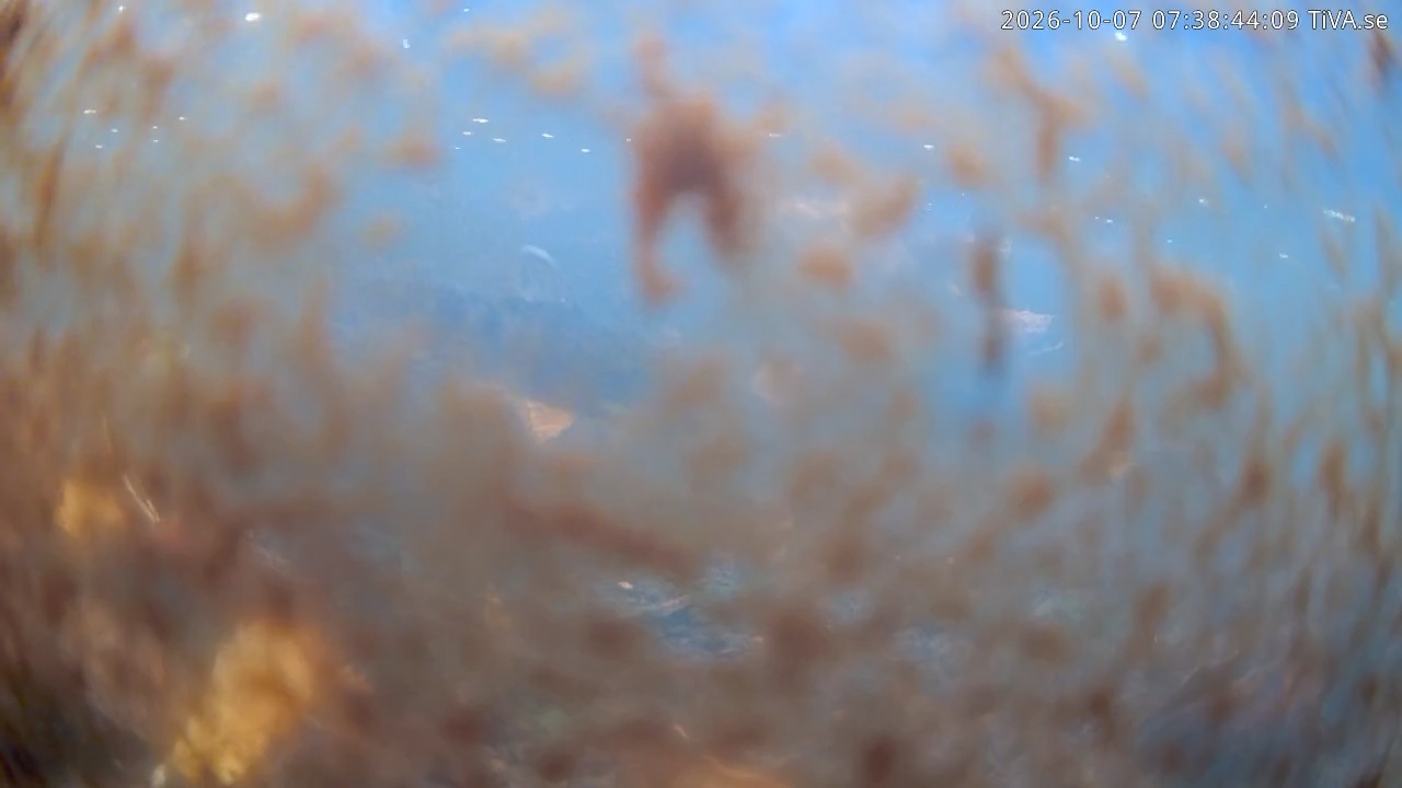 Video 2026-10-07 07:38