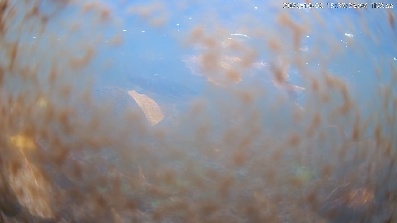 Video 2026-10-06 15:33