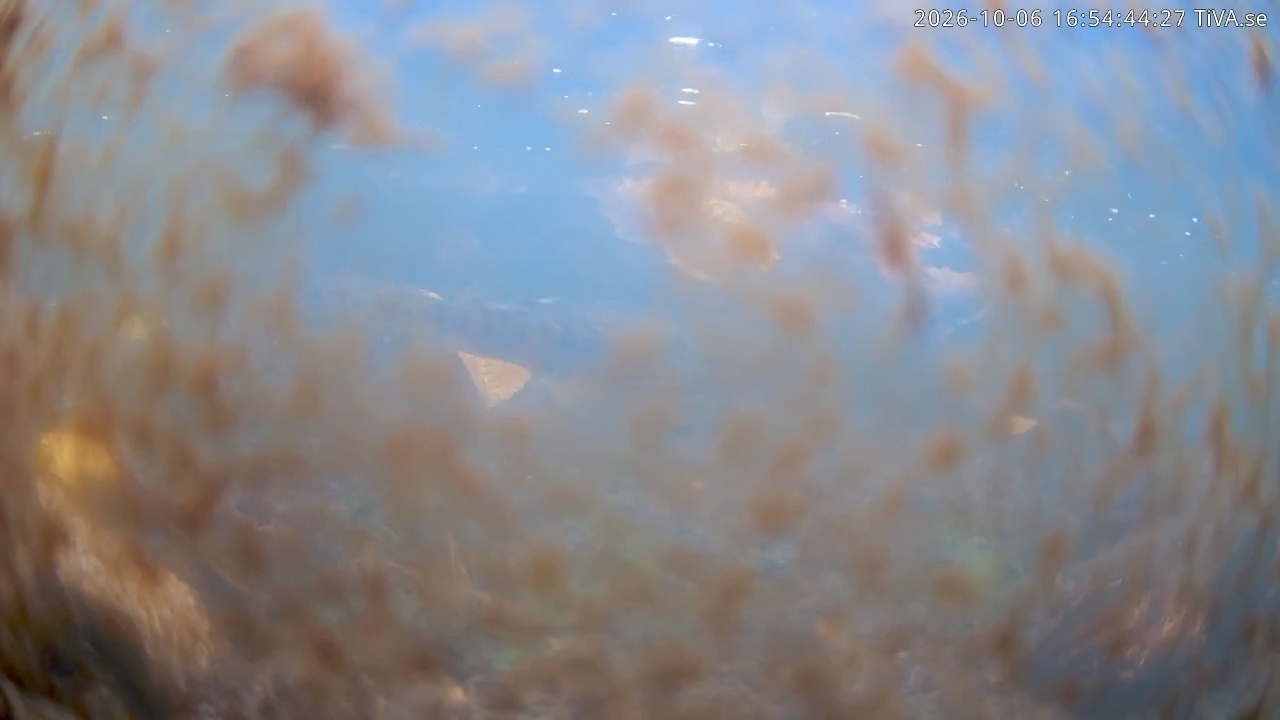 Video 2026-10-06 16:54