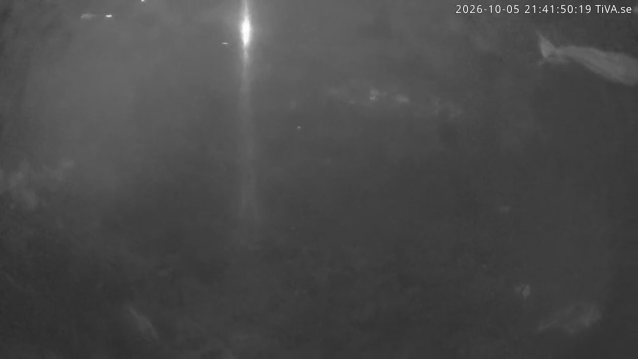 Video 2026-10-05 21:41