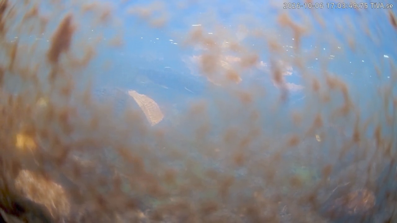 Video 2026-10-06 17:03