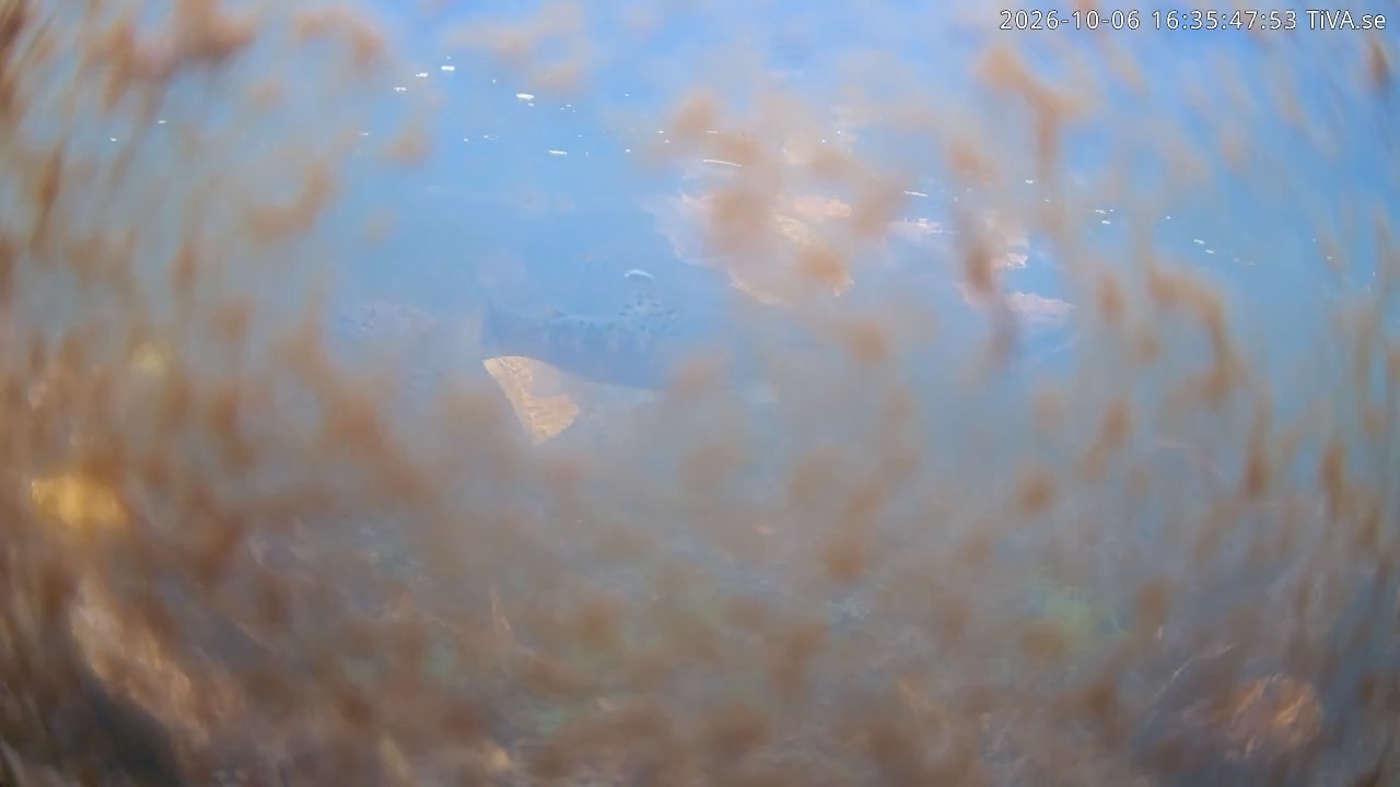 Video 2026-10-06 16:35