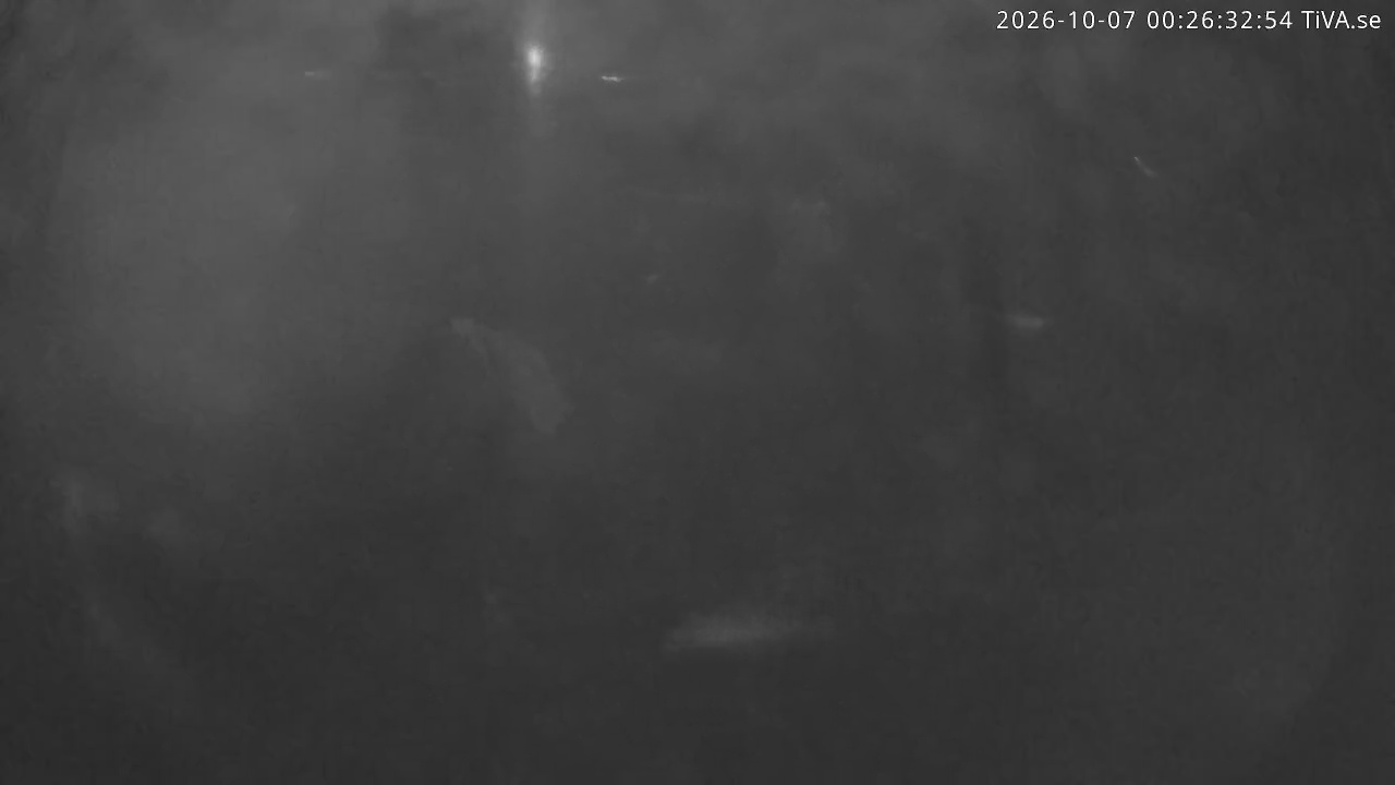 Video 2026-10-07 00:26