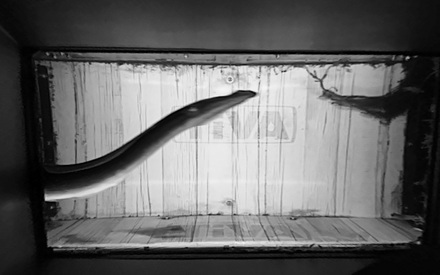 Video 2026-09-11 02:13