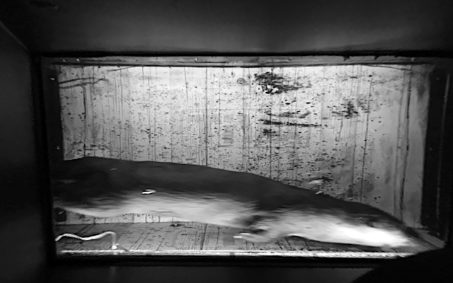Video 2026-09-16 20:22