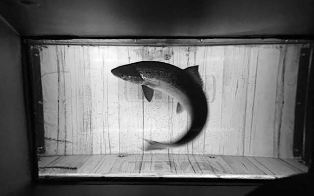 Video 2026-07-16 01:50