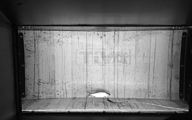 Video 2026-07-12 03:14
