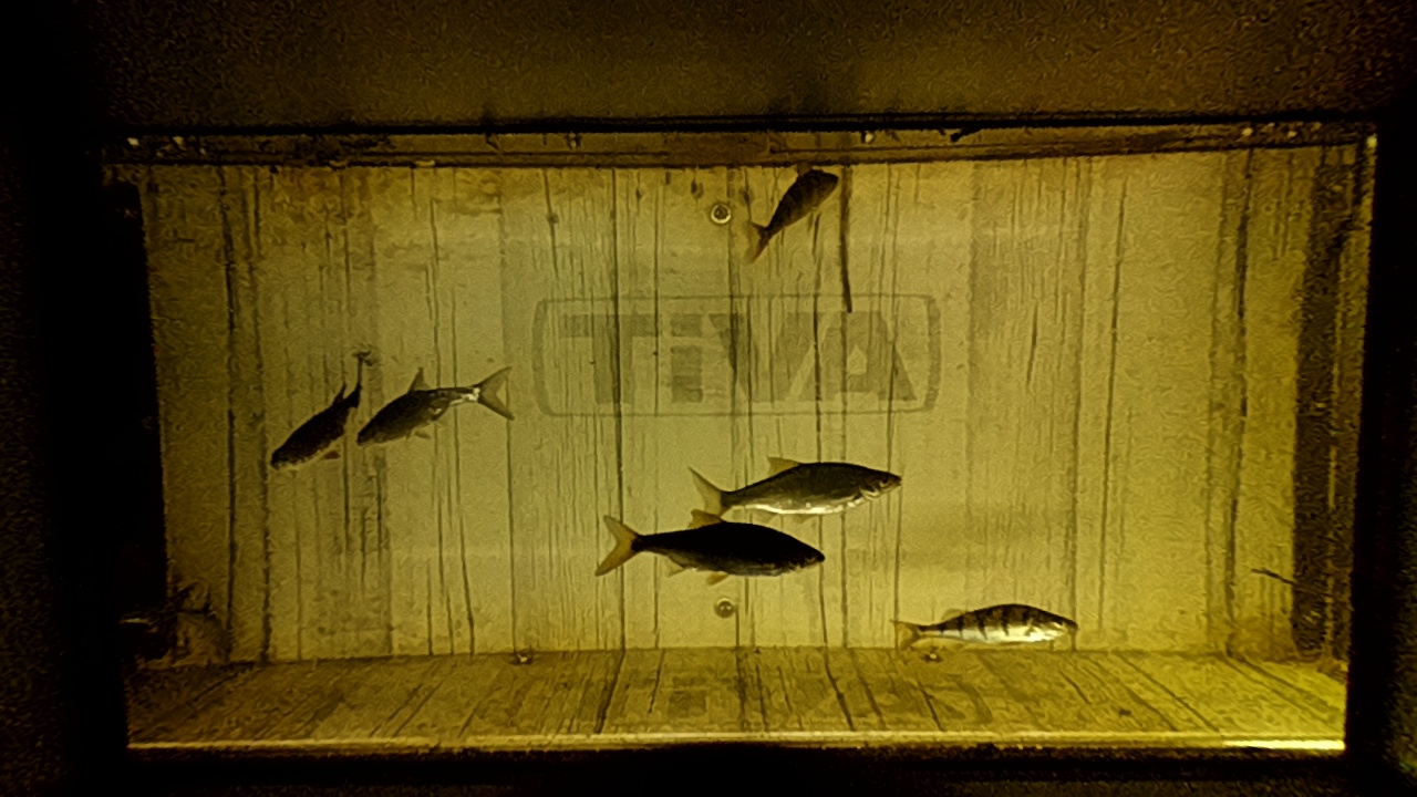 Video 2026-07-30 07:40