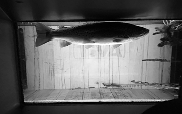 Video 2026-07-01 00:20