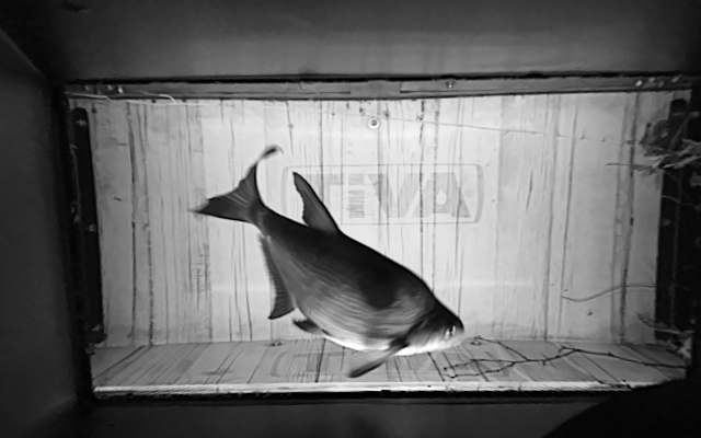 Video 2026-07-19 01:46