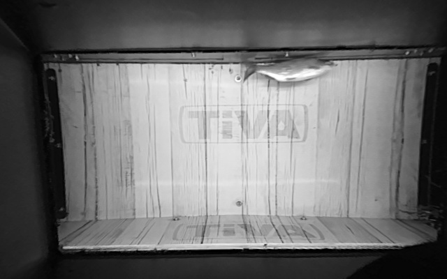 Video 2026-07-15 03:23