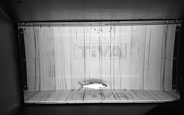 Video 2026-05-31 22:49