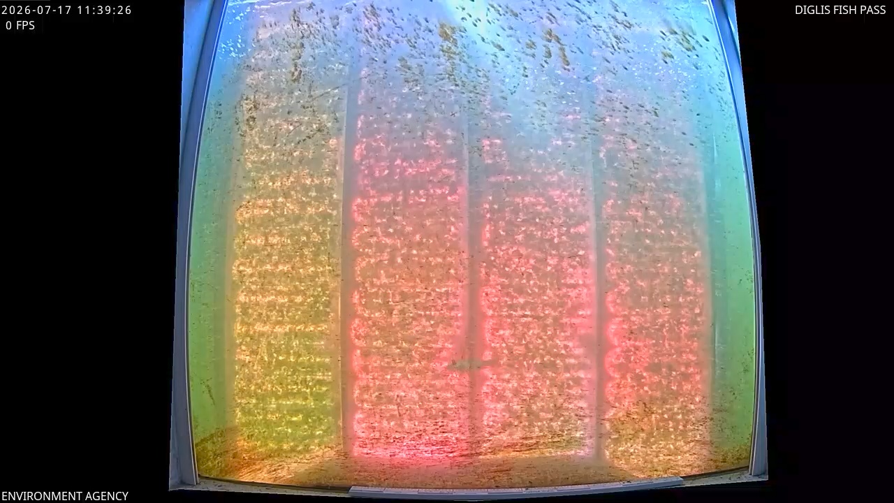 Video 2026-07-17 12:42