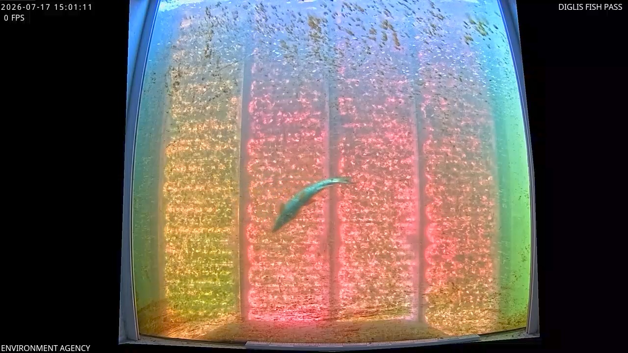 Video 2026-07-17 16:04