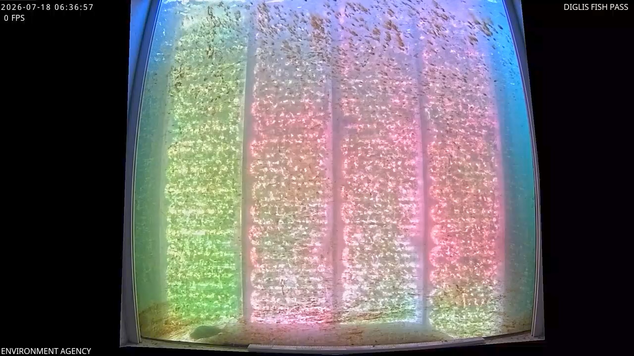 Video 2026-07-18 07:40