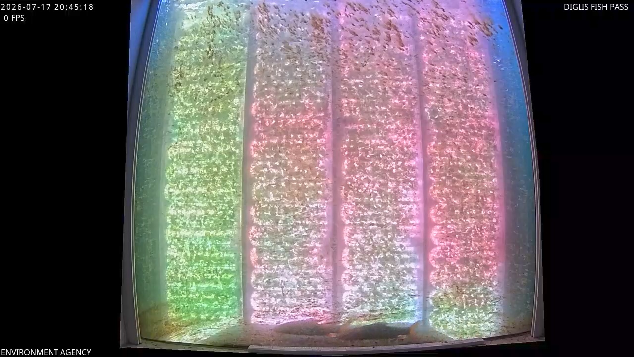 Video 2026-07-17 21:48