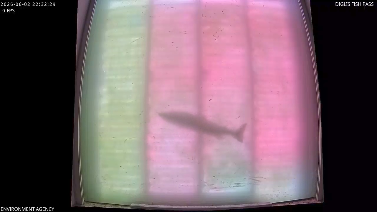 Video 2026-06-02 23:34
