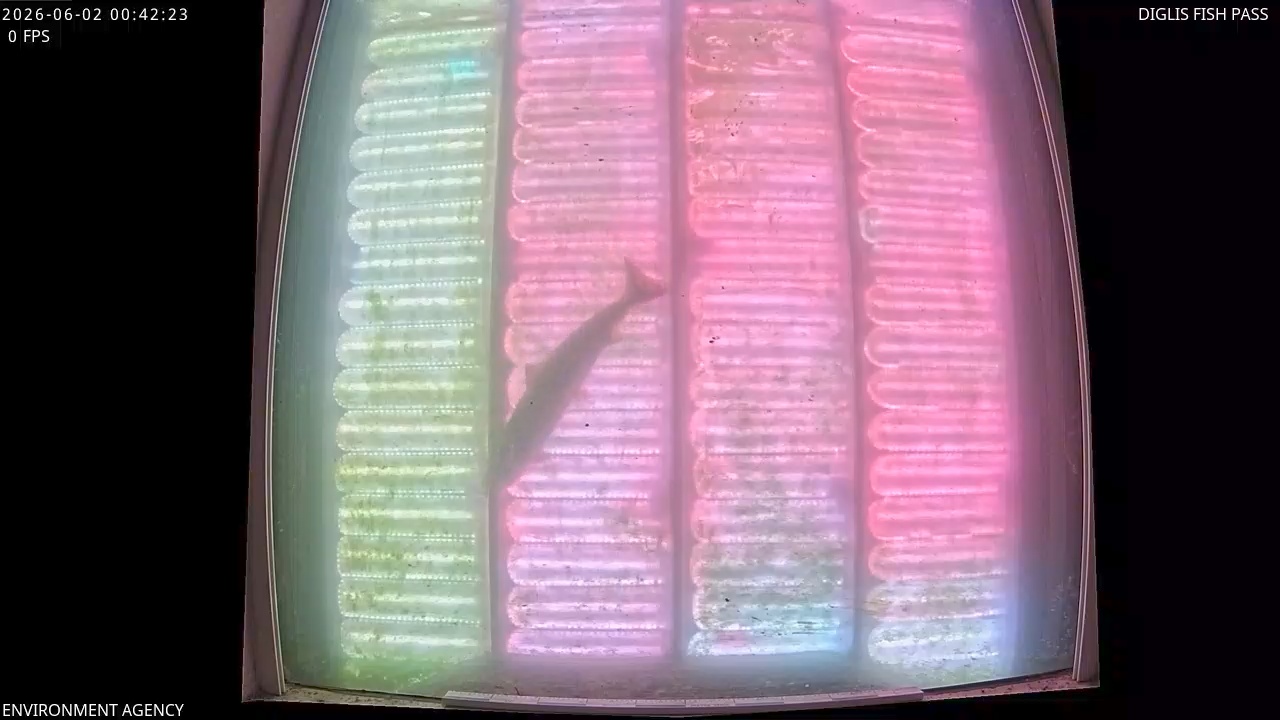 Video 2026-06-02 01:44