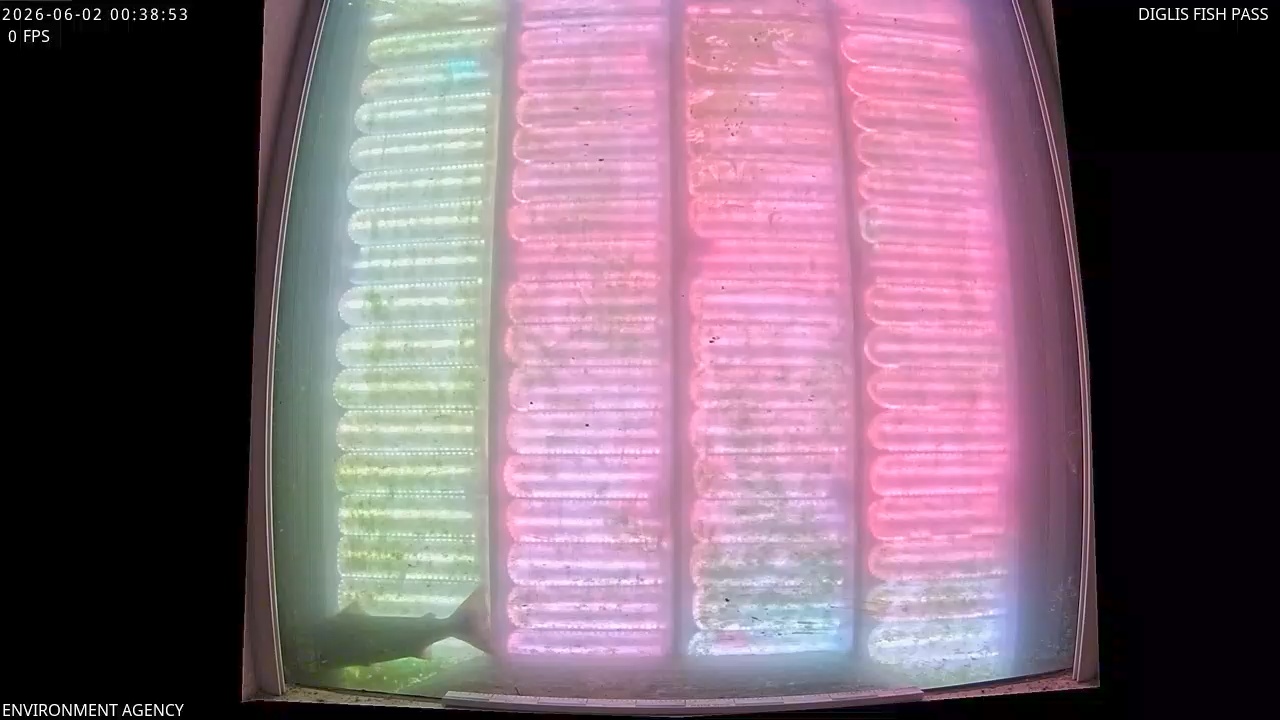 Video 2026-06-02 01:40