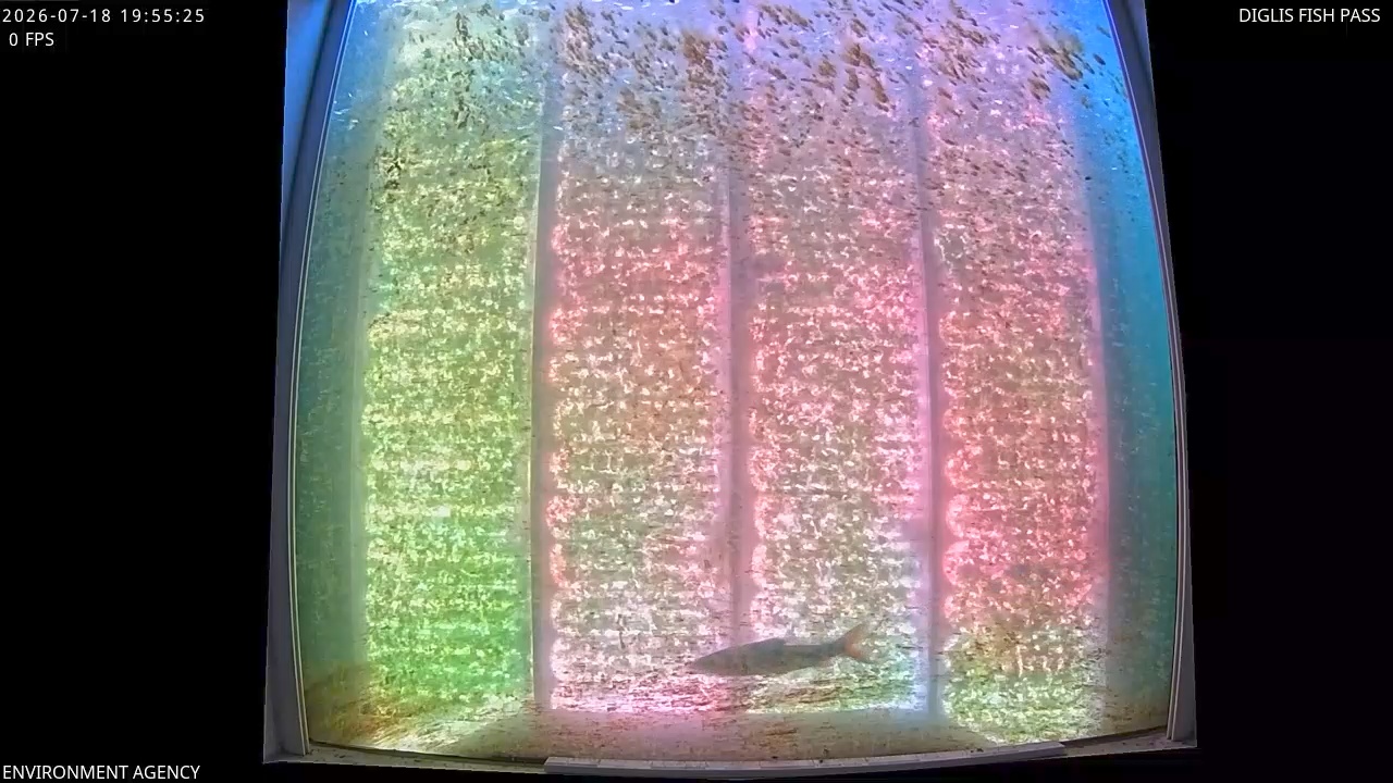Video 2026-07-18 20:58
