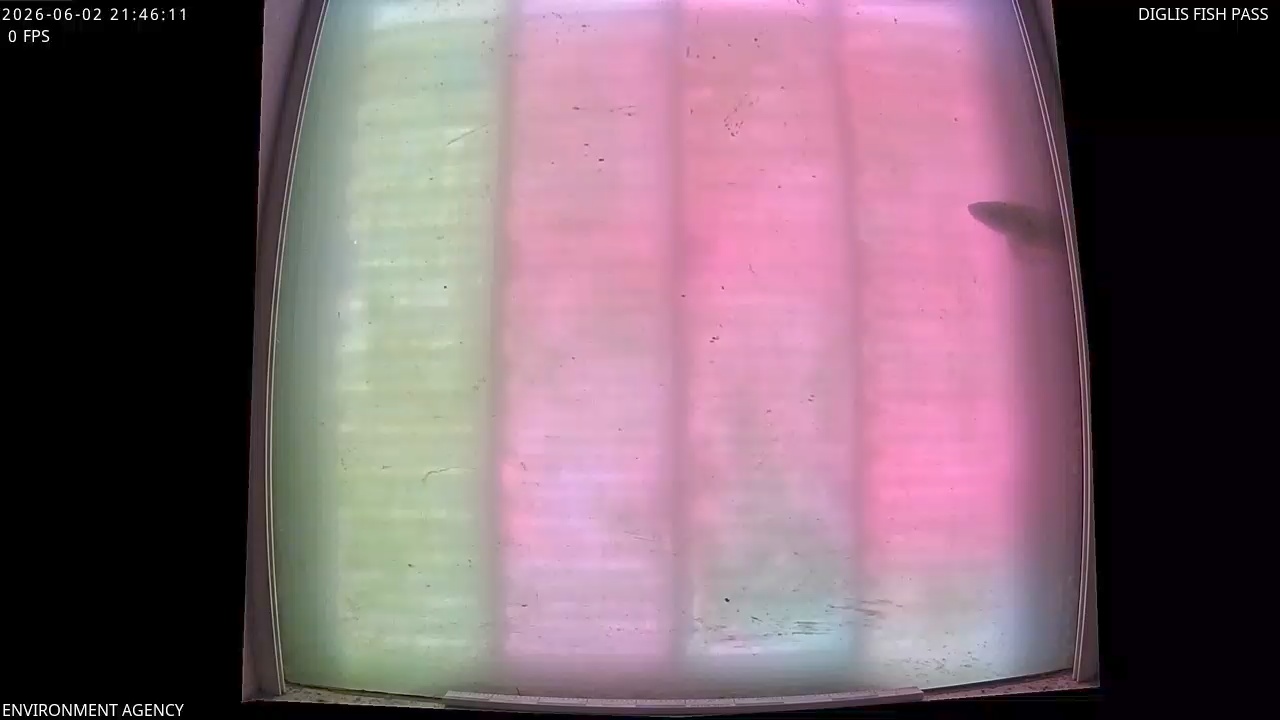 Video 2026-06-02 22:48
