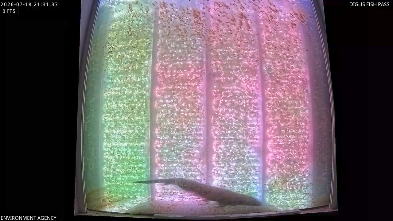 Video 2026-07-18 22:35