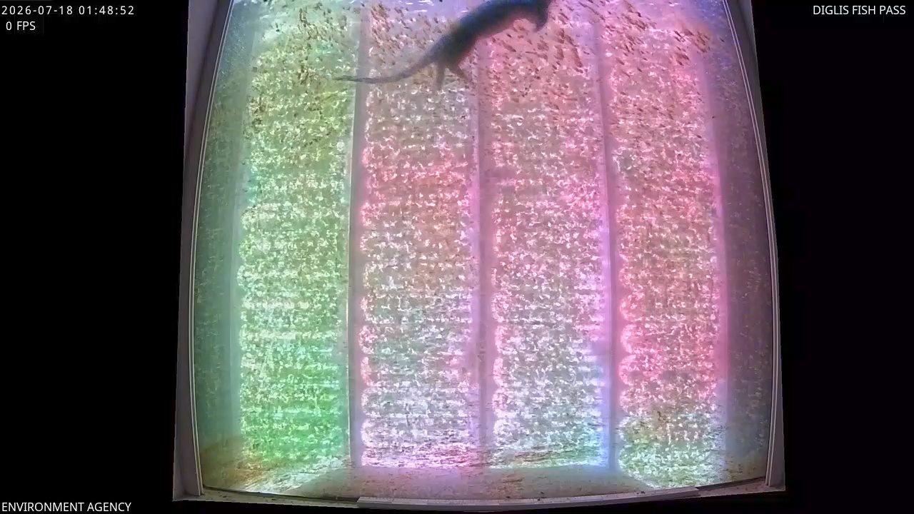 Video 2026-07-18 02:52
