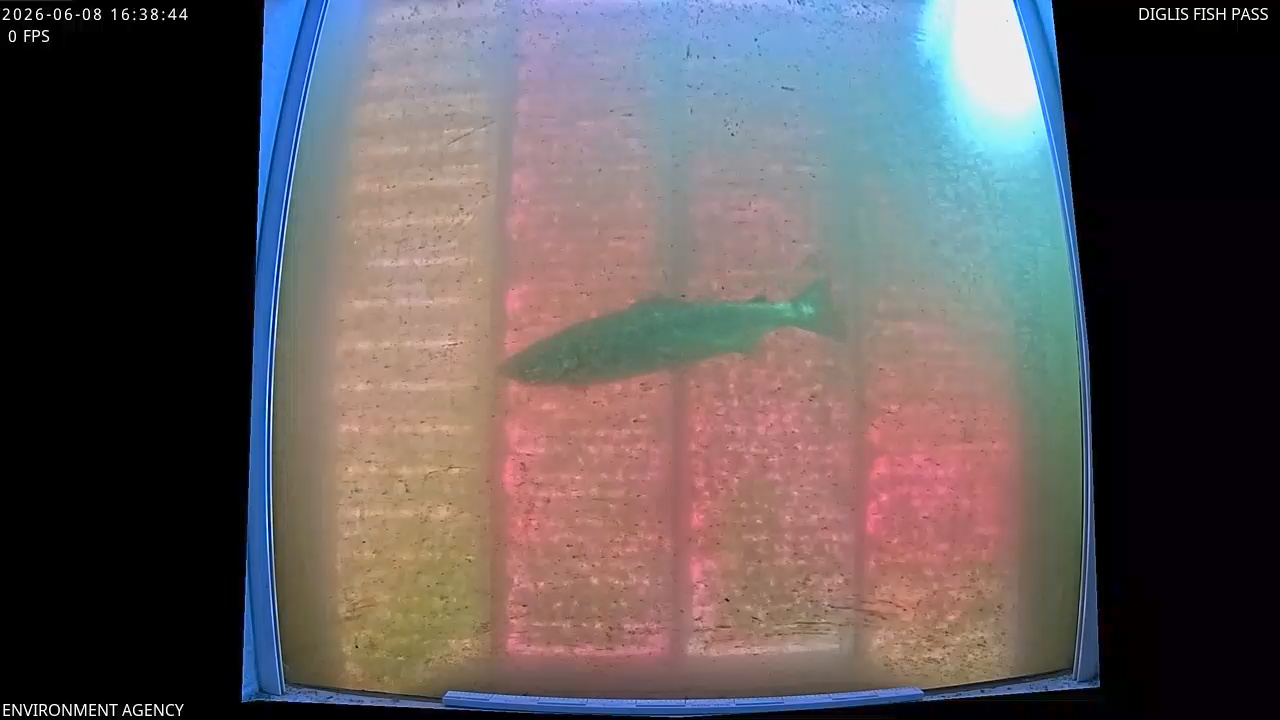 Video 2026-06-08 17:40